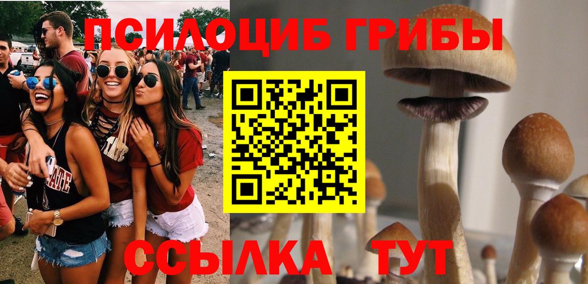 купить   Вход с VPN  Кизляр  Галлюциногенные грибы мухоморы 