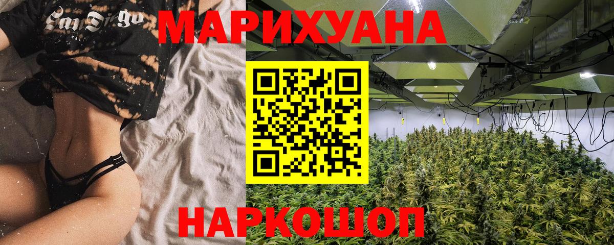 Конопля план Кизляр